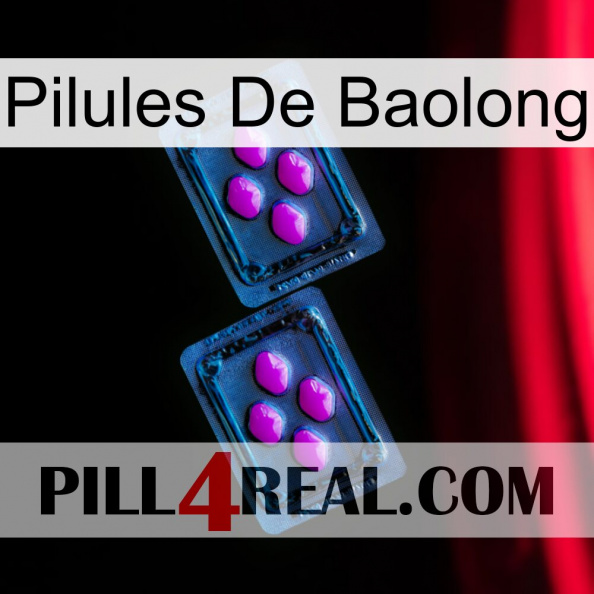Baolong Pills 03